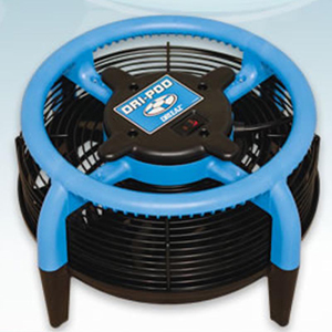 carpets-fan